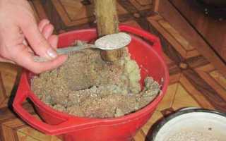 Как приготовить мешанку для кур несушек.