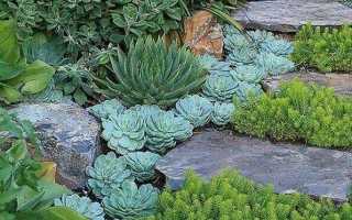 Как создать реалистичный сухой ручей в ландшафтном дизайне сада: фото с примерами, выбор материалов, нюансы устройства