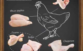 Как правильно ощипать курицу в домашних условиях