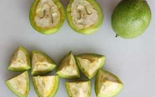 Полезные свойства грецкого ореха и противопоказания к употреблению