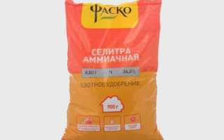 Подкормка рассады перца в домашних условиях: первая, после пикировки и народными средствами