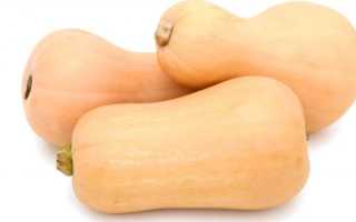 Мускатная тыква Матильда f1: как выращивать