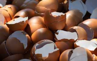 …Чем полезна толченая куриная яичная скорлупа?