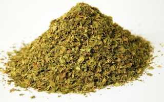 Как выращивать сельдерей черешковый в открытом грунте