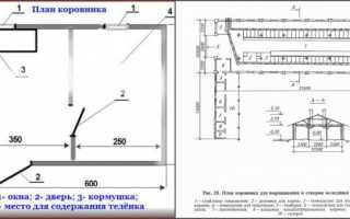 Гриб коровник съедобный или нет. Как выглядят грибы коровники и их описание (+18 фото)