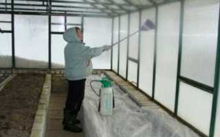 Обработка теплицы из поликарбоната весной перед посадкой