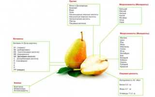 Груши при похудении: можно ли есть, употребление на кето-диете, рецепты и особенности