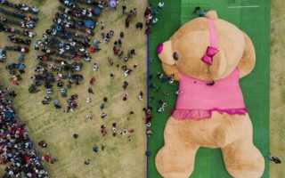 Полезные овощные соки. Лечение овощными соками. Как приготовить и пить овощной сок