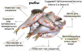 Какая рыба самая полезная для здоровья