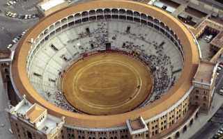 Кровавые бои быков: история корриды, описание и порядок битвы