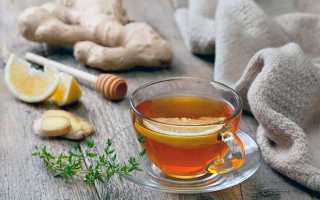 Что делать, если пророс корень имбиря и как его правильно посадить в домашних условиях или в открытый грунт?