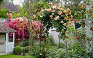 Опоры для плетистых роз своими руками (из металла, арматуры, других материалов). Схема, фото, чертеж 2021 года