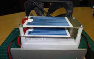 Озонирование на животноводческих фермах