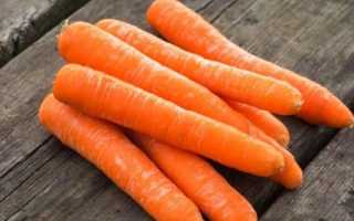 Морковь Лосиноостровская 13: описание сорта, особенности выращивания