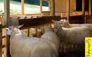 Тема 5. РАСЧЕТ ПЛОЩАДИ ПАСТБИЩ, ДЕЛЕНИЕ ЕГО НА ЗАГОНЫ И ОРГАНИЗАЦИЯ ПАСТБИЩЕОБОРОТА