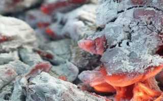 Применение древесной золы в качестве удобрения для огородных и комнатных растений