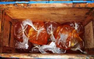 Преимущества зимовки пчел в сарае или омшанике