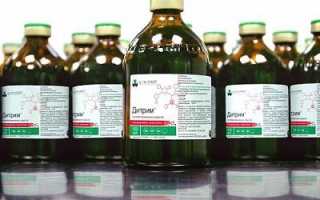 Состав и инструкция по применению Дитрима для кроликов, дозировка и аналоги