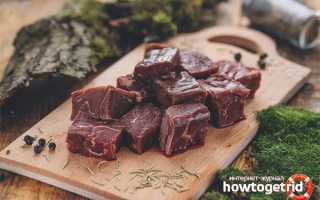 Мясо оленя: состав, польза и вред для организма человека