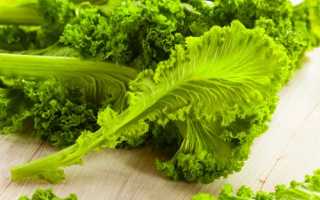 Горчица белая как сидерат: когда сеять, описание и уход +Фото и Видео