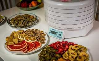 Сушка вишни в электросушилке. Заготовка сушеных ягод, овощей и фруктов