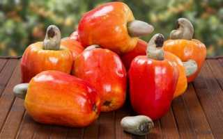 Почему орех Пекан сладкий на вкус и похож ли на другие орехи?