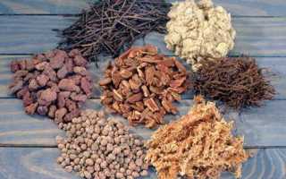 Что такое вермикулит для комнатных растений и как его применять