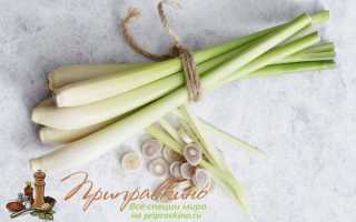 Что такое лемонграсс (лимонник): запах, польза и вред, тонкости применения