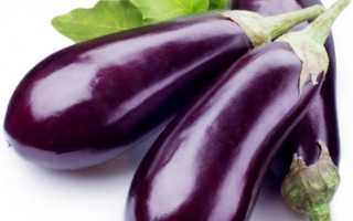 Чем полезны и чем вредны баклажаны для организма человека