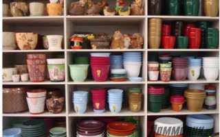 Горшок для кактусов своими руками — 5 вдохновляющих идей