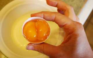 Почему в одном яйце два желтка и как такое возможно?