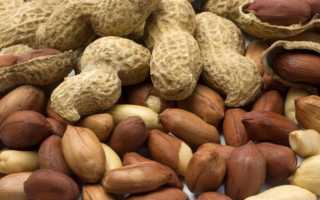 Как растет арахис? Родина арахиса. Виды и полезные свойства арахиса