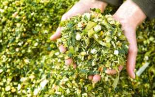 Заготовка силоса: профессиональные секреты современного фермера