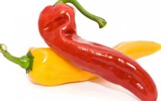 Финиковый сироп – что это такое, польза или вред для здоровья и похудения