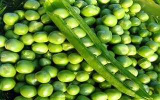 Морфологические и апробационные признаки гороха