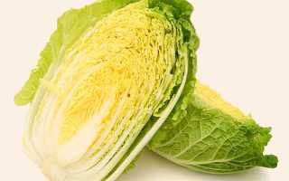 Каланхоэ перистое: лекарственное растение в квартире