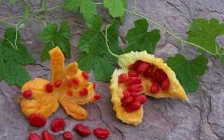 Момордика в Подмосковье. Личный опыт от любительницы экспериментов. Сезон 2012 г