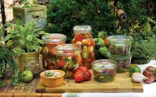 Как правильно закатывать банки закаточной машинкой — улитка, автомат или насос?