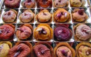 Как выкапывать и хранить зимой гладиолусы в домашних условиях — практические советы