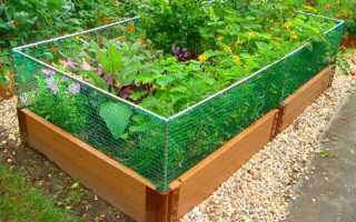 Как легко и просто устроить грядки из подручных материалов своими руками