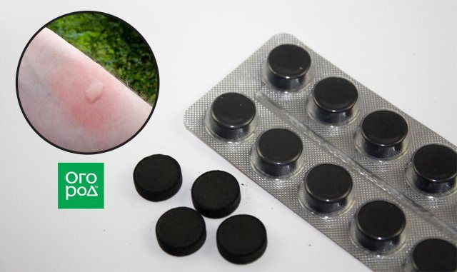 Активированный уголь от укусов