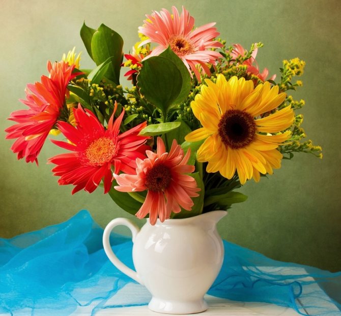 Букет герберов