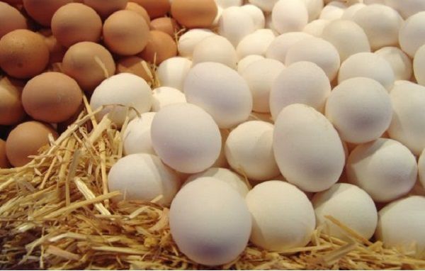 Чем хуже выглядит птица при линьке, тем она плодовитее