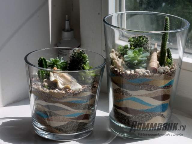 флорариум в вазе