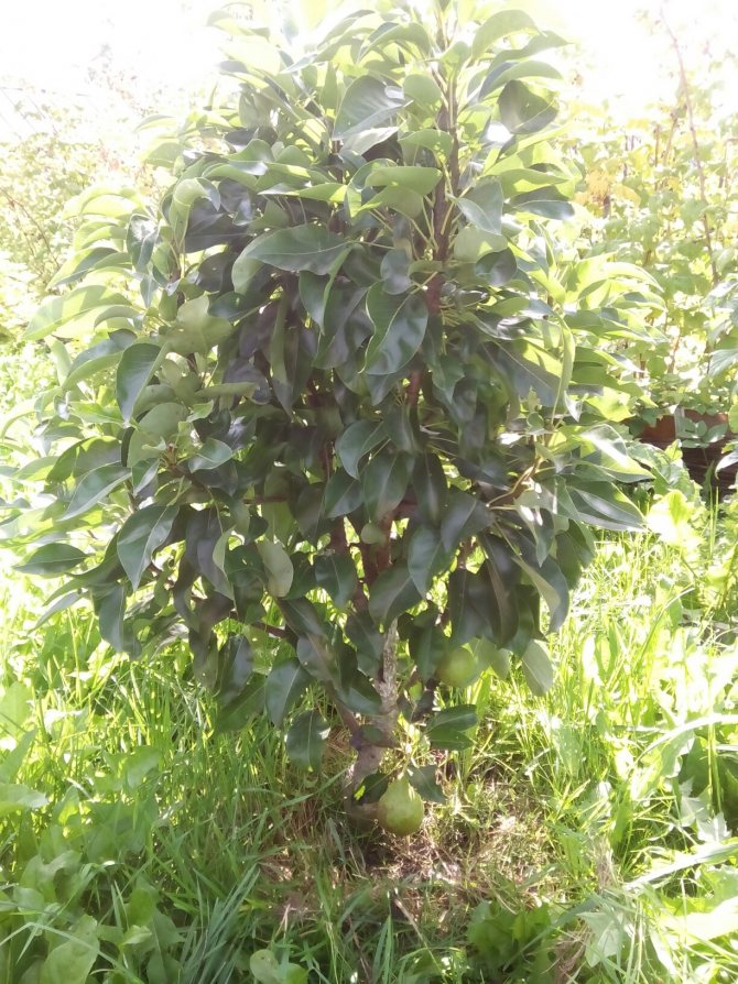 фотография из вКонтакте