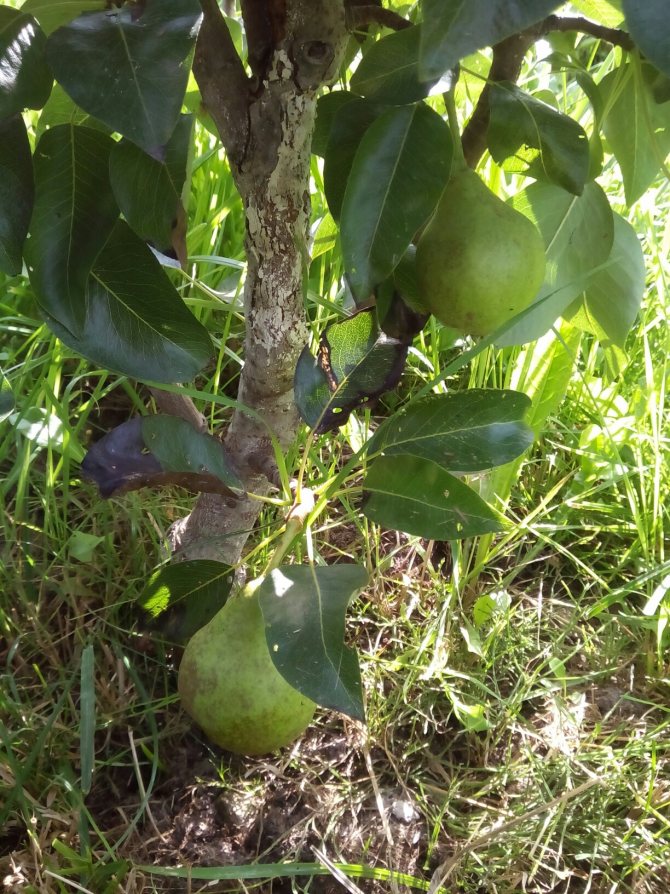 фотография из вКонтакте