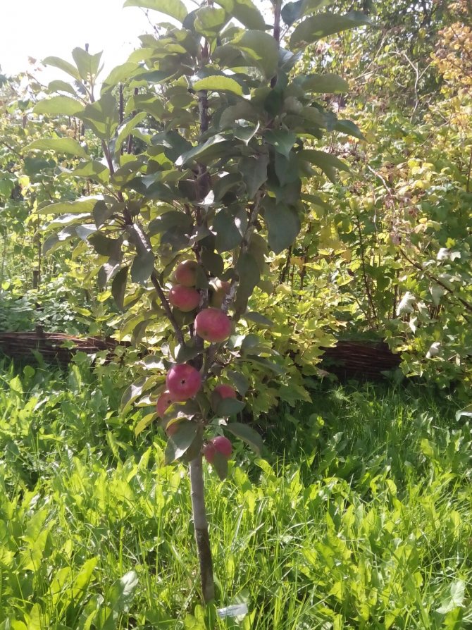 фотография из вКонтакте