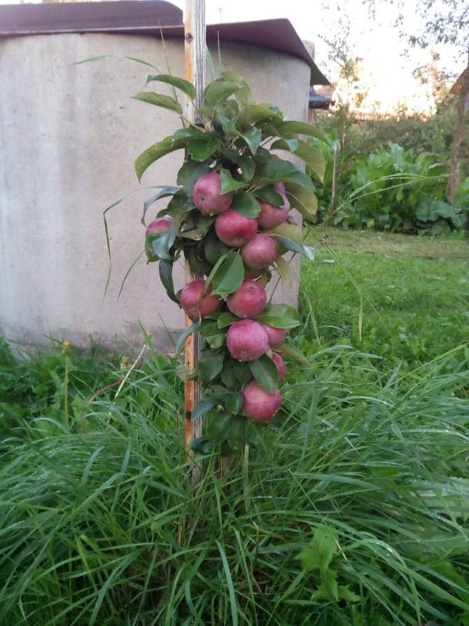 фотография из вКонтакте