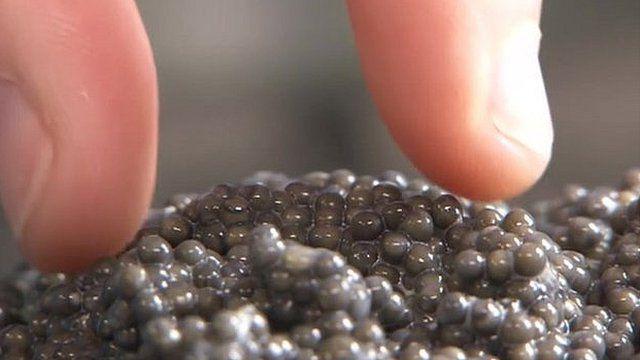 икра красная имитированная