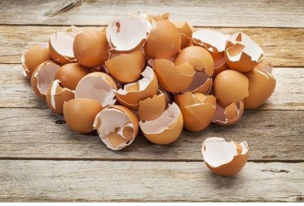 Избыток кальция так же вреден, как и его нехватка